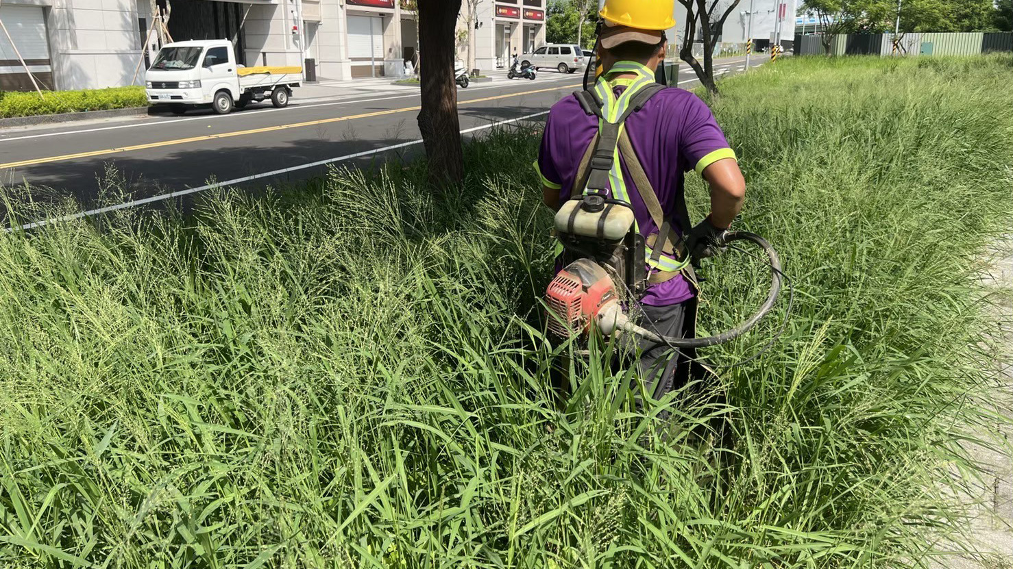 草坪修剪中